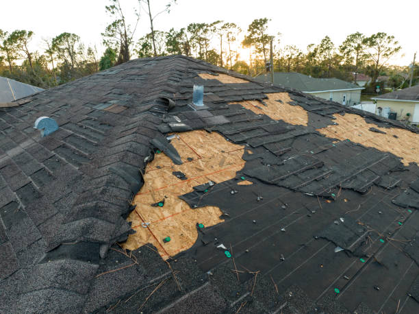 Best Roof Insulation Installation  in Shady Side, MD